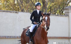 人妻饥渴偷公乱中文字幕